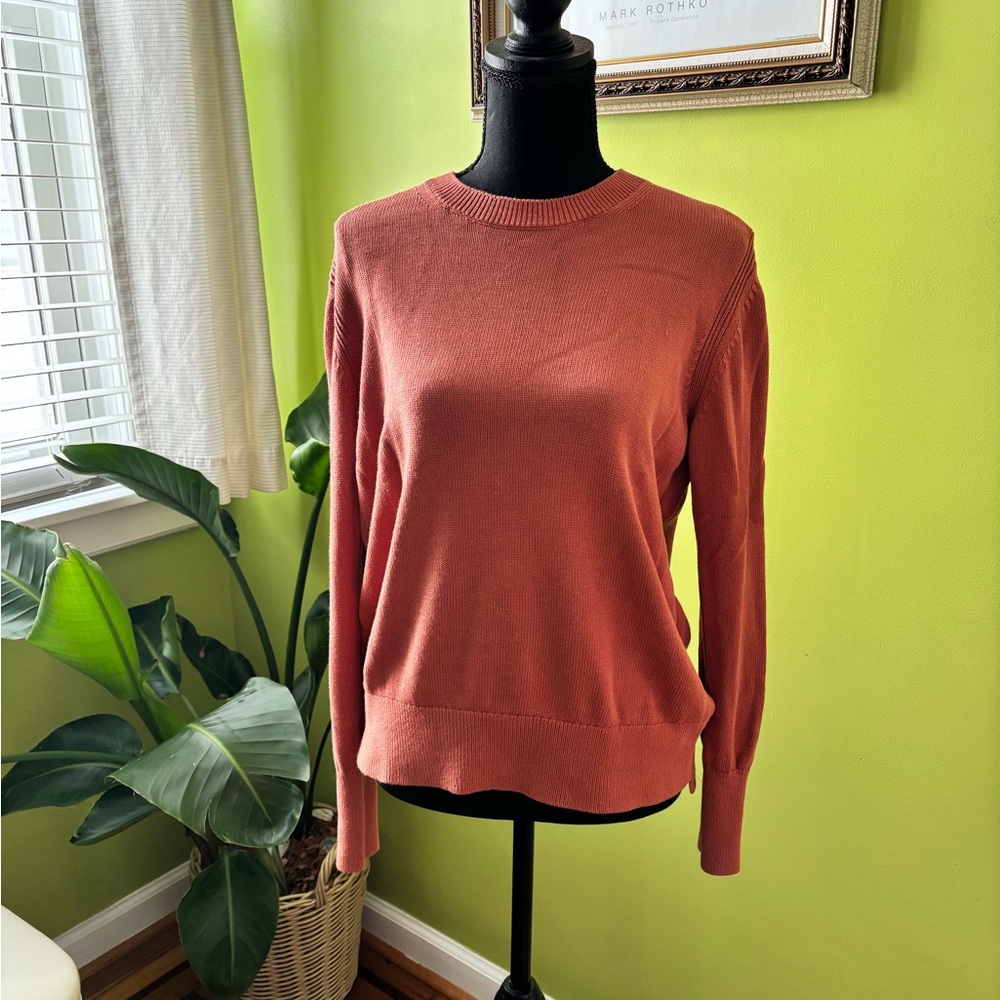 Everlane Terracotta Crew Neck Sweater